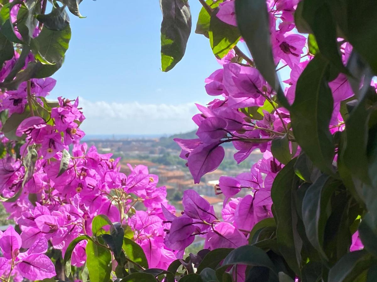 Cogorno Villa Fieschi מראה חיצוני תמונה