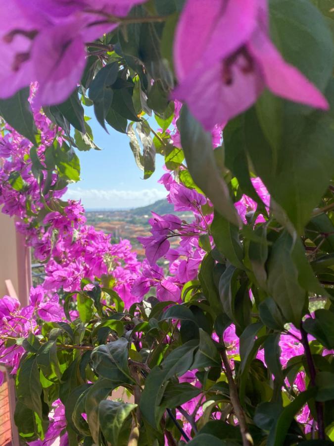 Cogorno Villa Fieschi מראה חיצוני תמונה